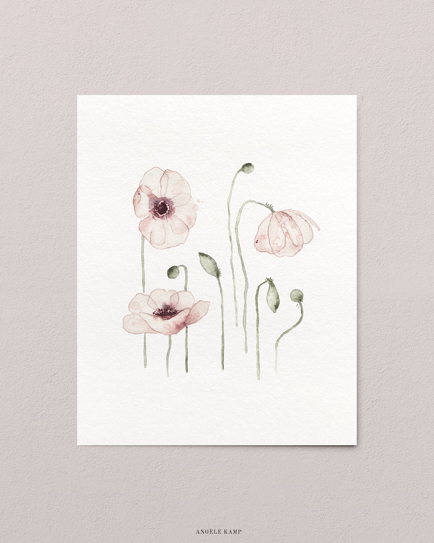 Pink Poppies 02 Print