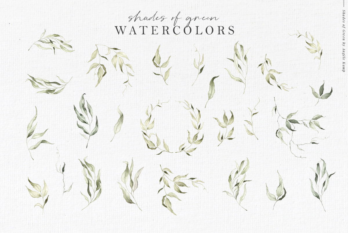 Shades of Green botanic watercolor illustrations