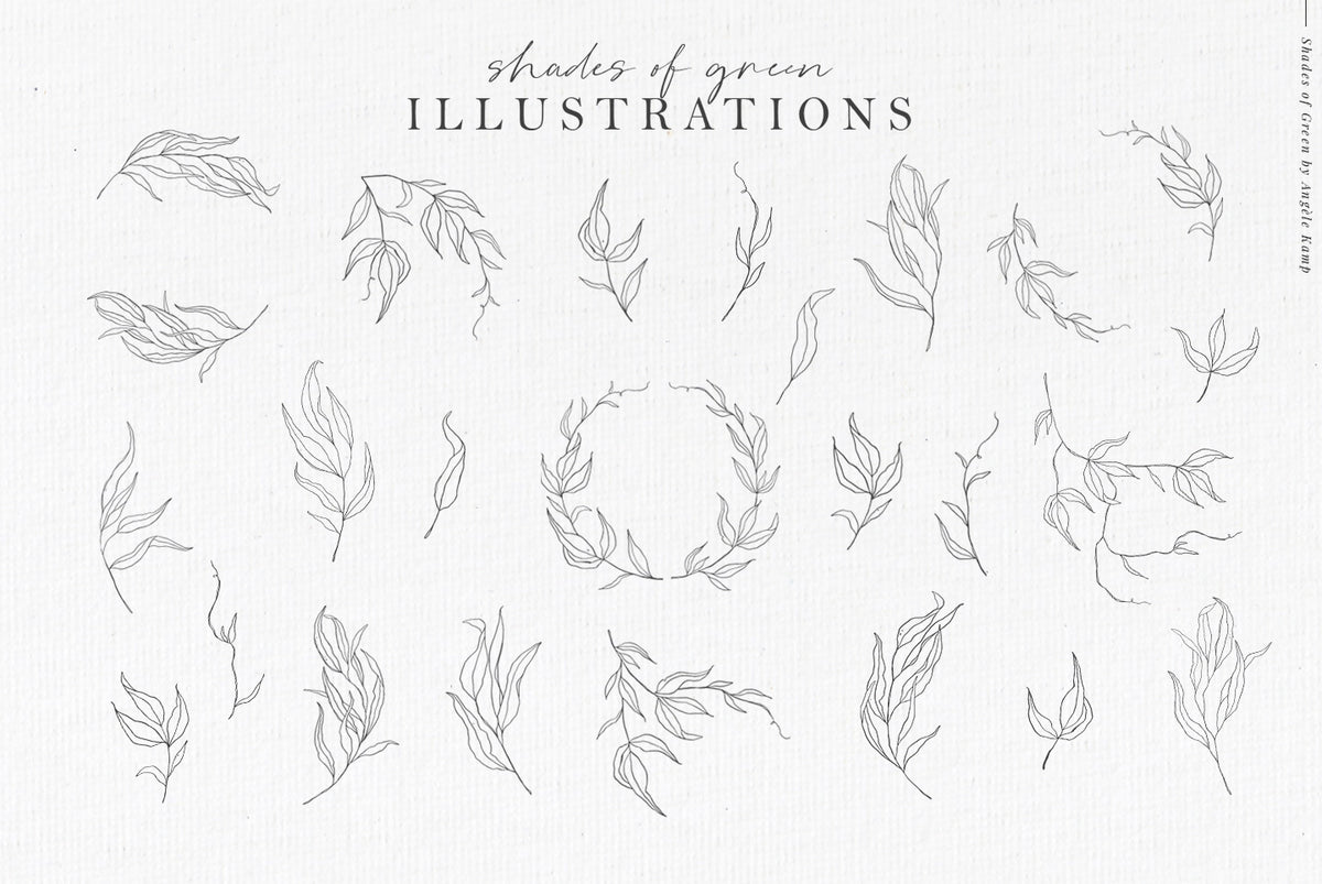 Shades of Green botanic watercolor illustrations