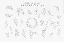 Load image into Gallery viewer, Shades of Green botanic watercolor illustrations
