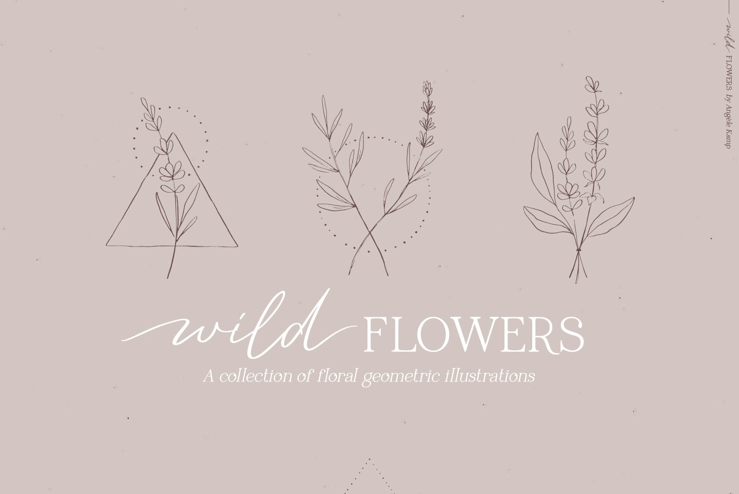 Wild Flowers Illustrations
