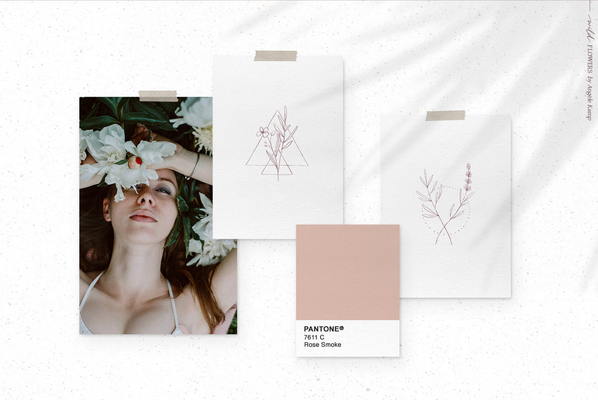 Wild Flowers Illustrations