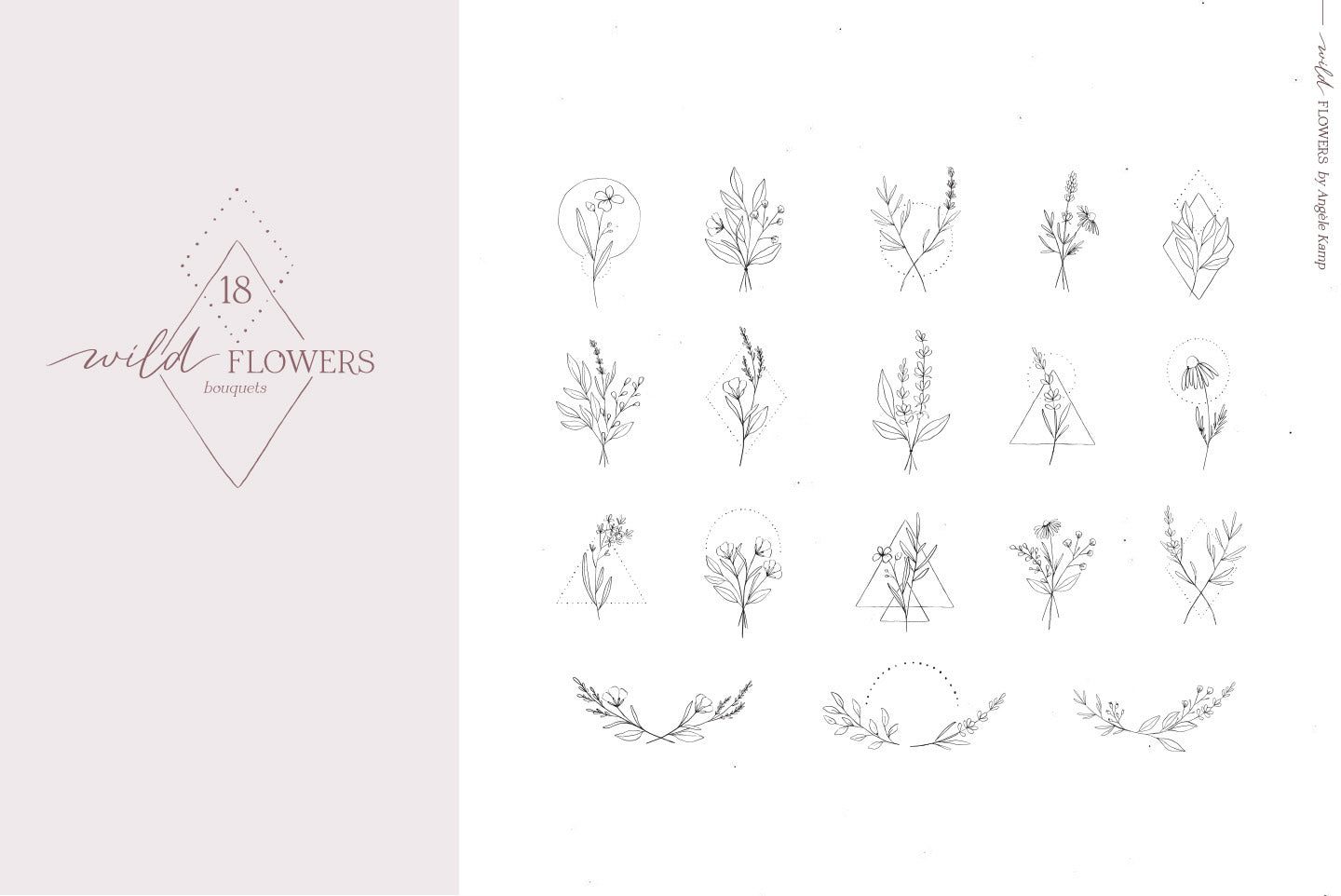 Wild Flowers Illustrations