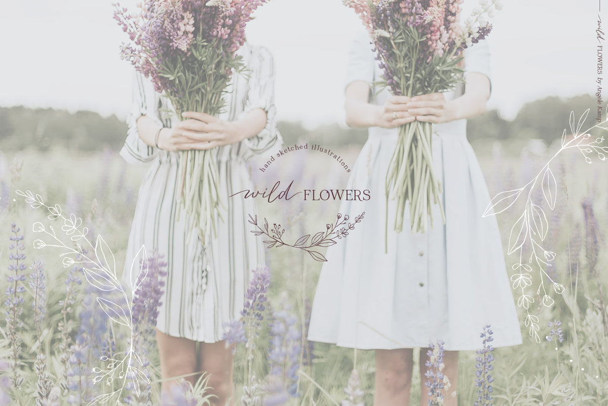 Wild Flowers Illustrations