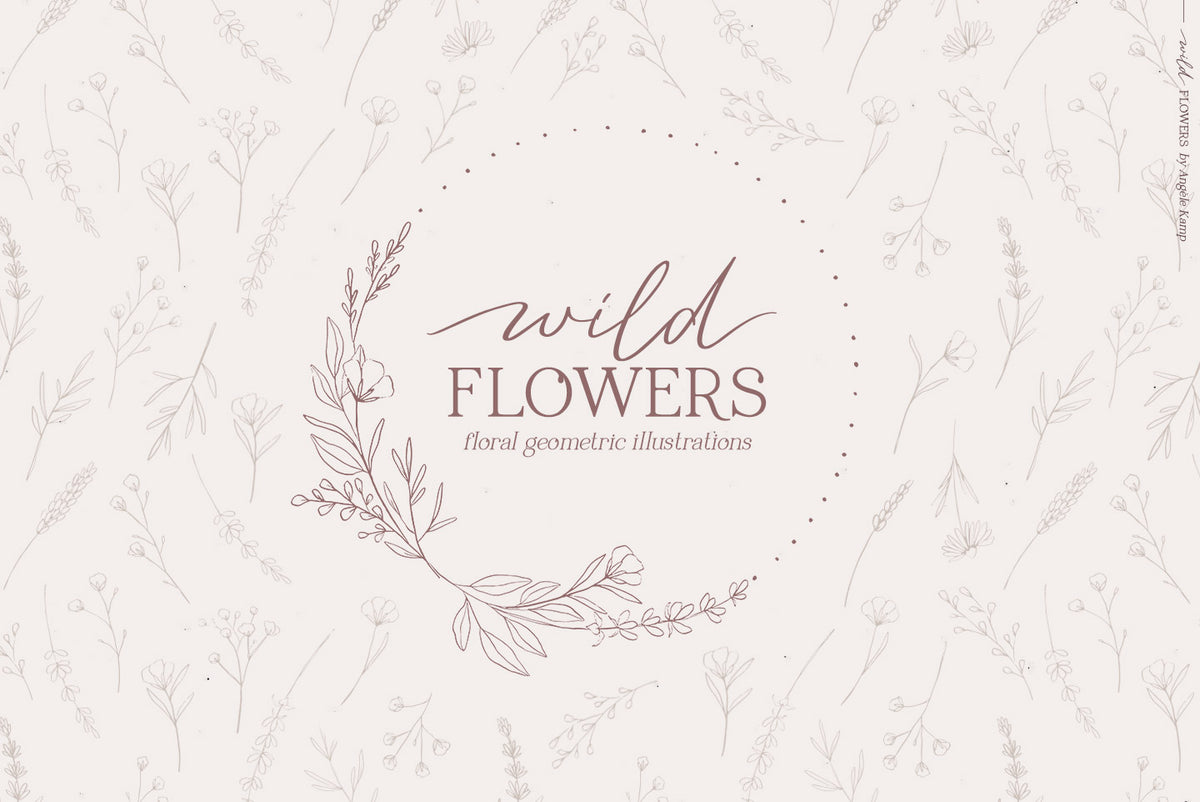 Wild Flowers Illustrations