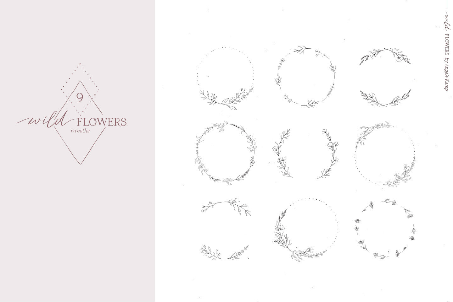 Wild Flowers Illustrations