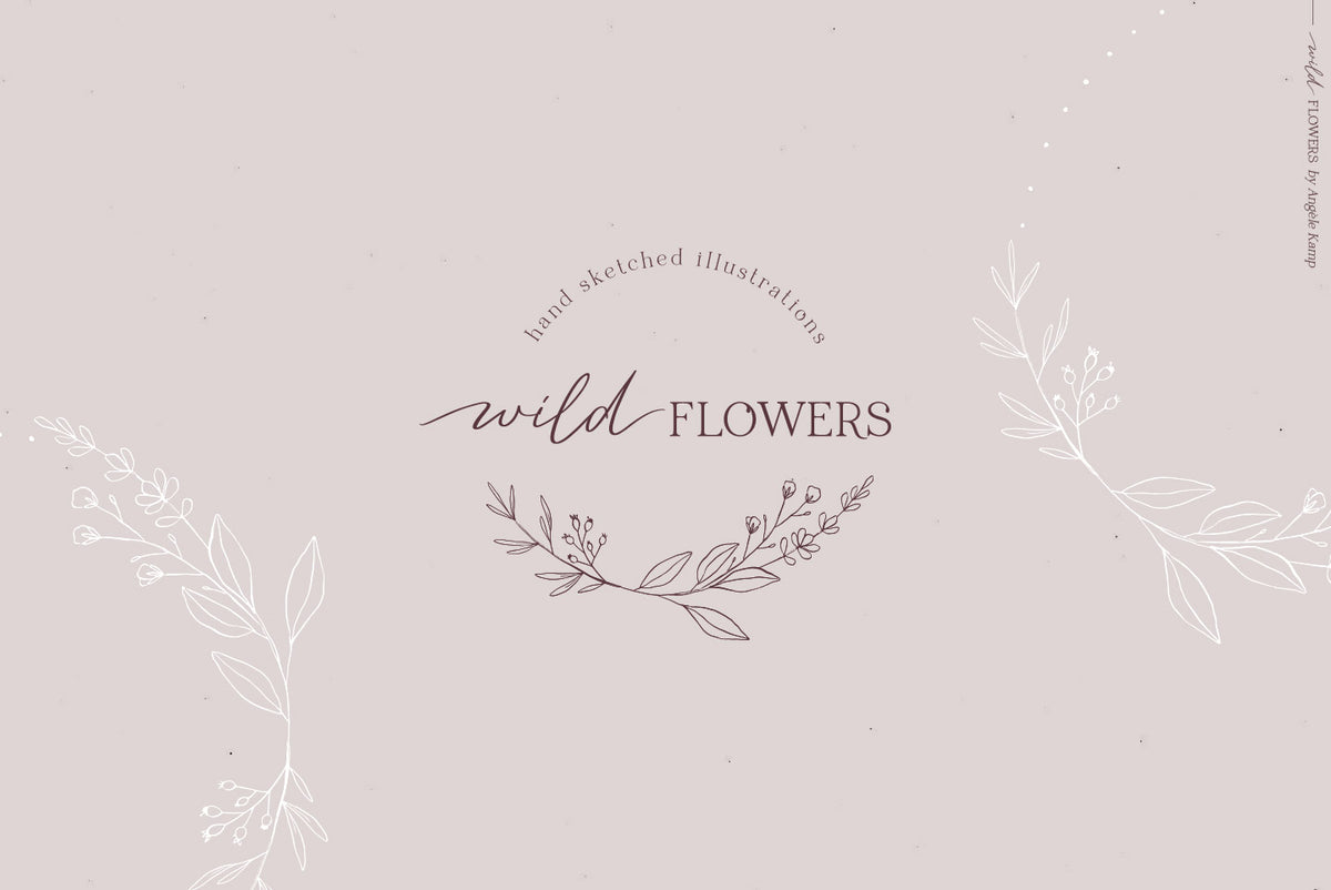 Wild Flowers Illustrations