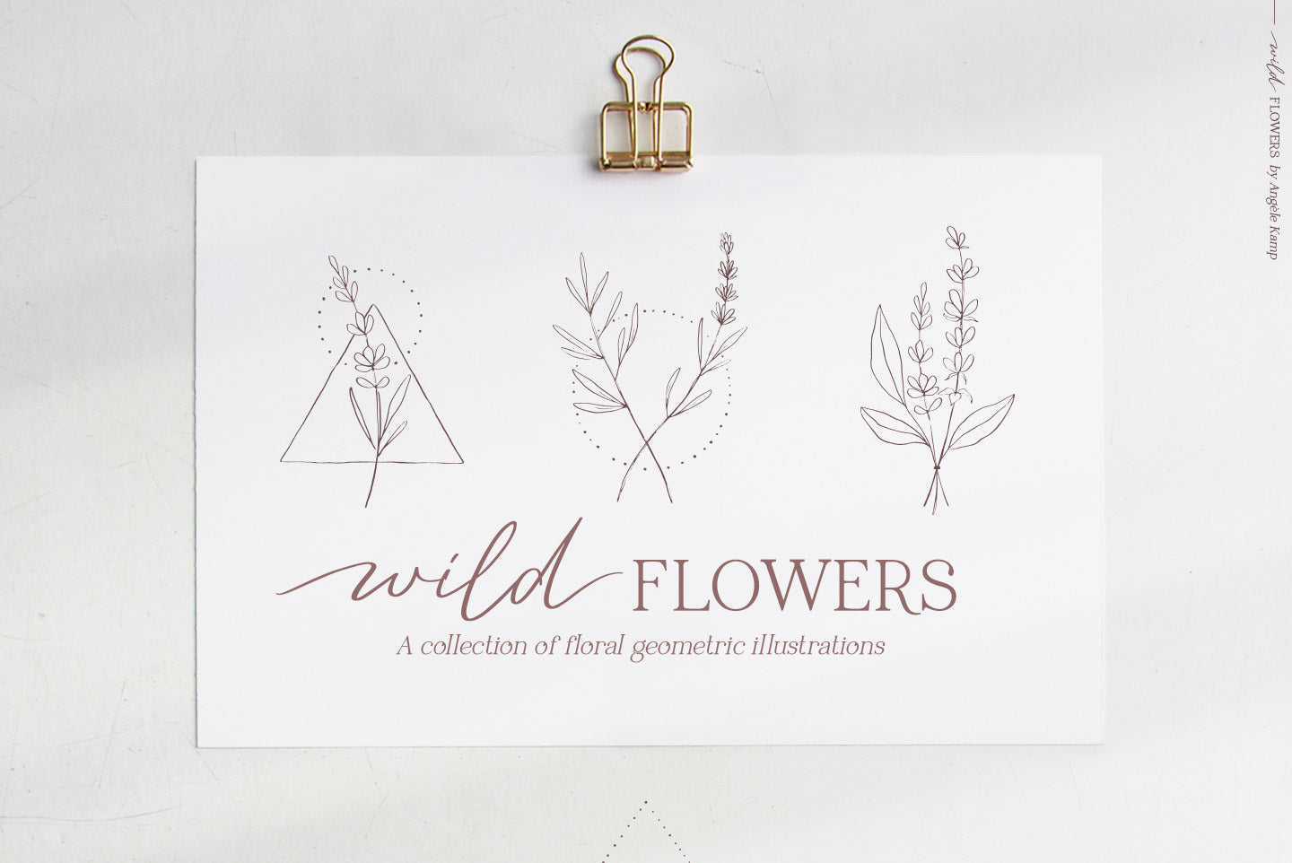 Wild Flowers Illustrations