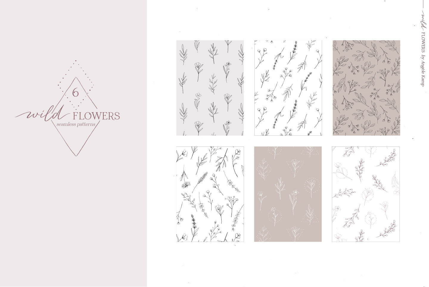 Wild Flowers Illustrations